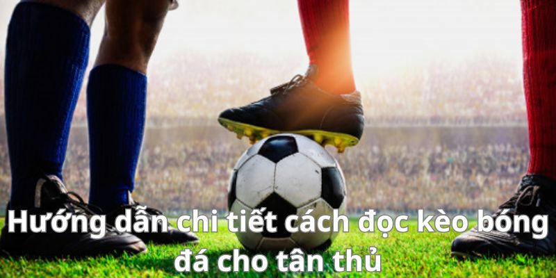 Hướng dẫn chi tiết cách đọc kèo bóng đá cho tân thủ